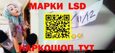 гидра Славгород