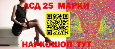 гидра Славгород