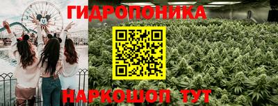 метадон Сланцы
