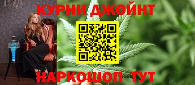 гидра Славгород
