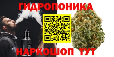 гидра Славгород